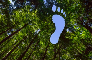 5 Easy Ways to Reduce Your Carbon Footprint at Home